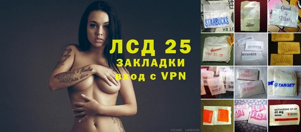 ПСИЛОЦИБИНОВЫЕ ГРИБЫ Балахна