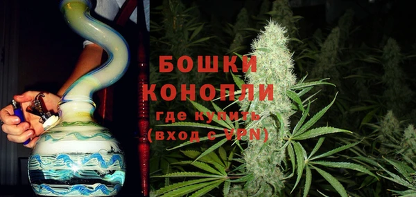 дмт Арсеньев